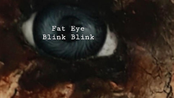 Fat Eye Blink Blink Trailer